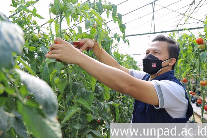 Photo Eduventure Thematic in gallery